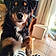 Arlo