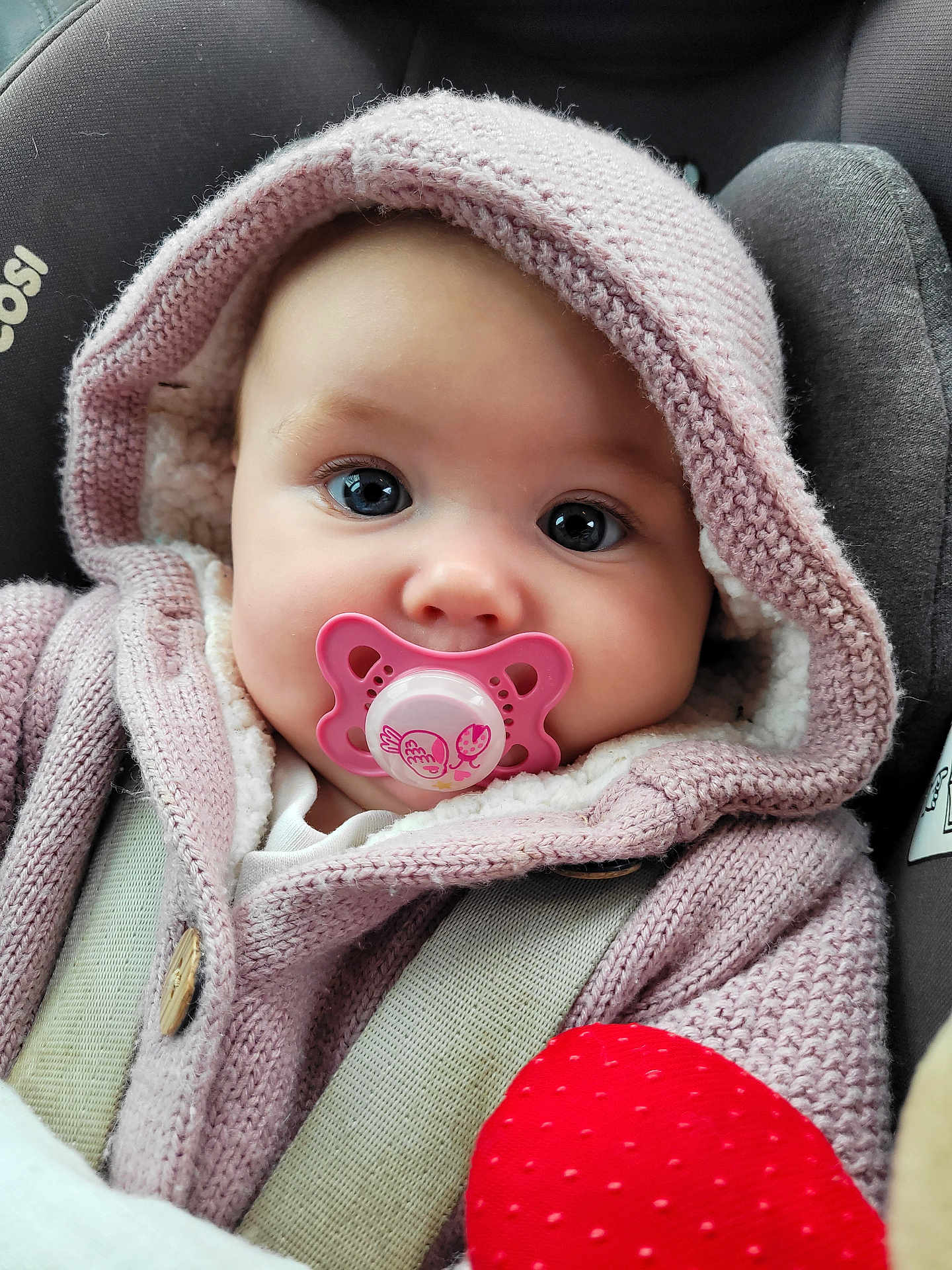 Sylvia-Rose joined the competition — help win amazing prizes! baby, pacifier, hoodie, knitted_clothing, car_seat, child, face, wide_eyes, cute, infant, pink, warm_clothing, seatbelt, portrait, close_up, soft_texture, indoor, baby_accessory, sitting, cozy