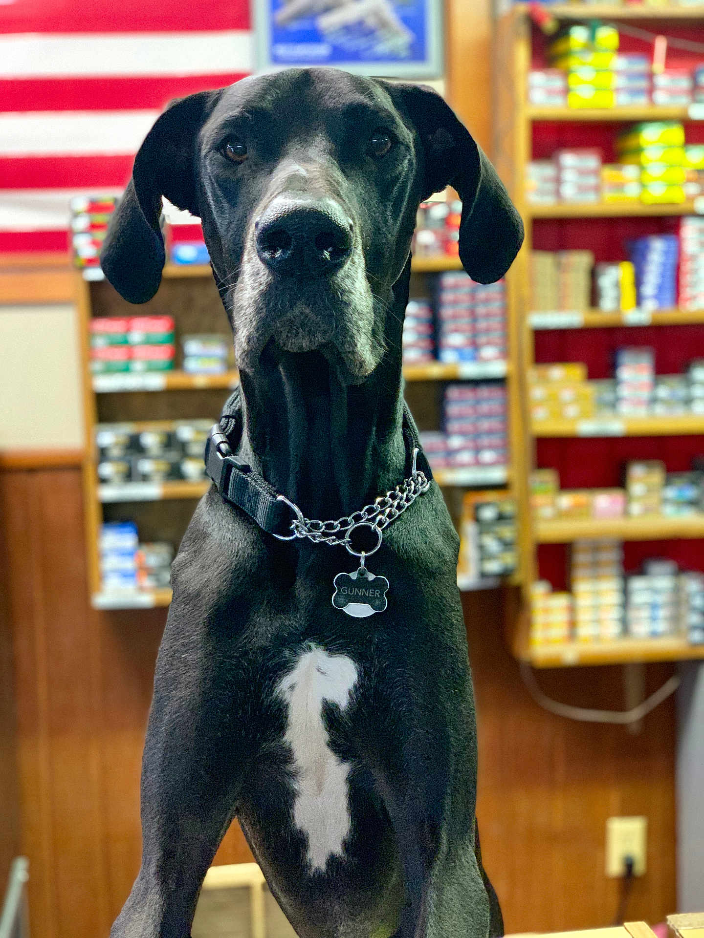 Gunner