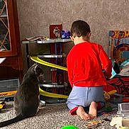 Brutus is registered to the contest to win money with this photo: bare_feet, boy, cabinet, carpet, cat, child, gray_cat, green_ball, hot_wheels, indoor, kneeling, pet, playing, plush_toy, red_shirt, scattered_toys, textured_wall, toddler, toy_track, toys