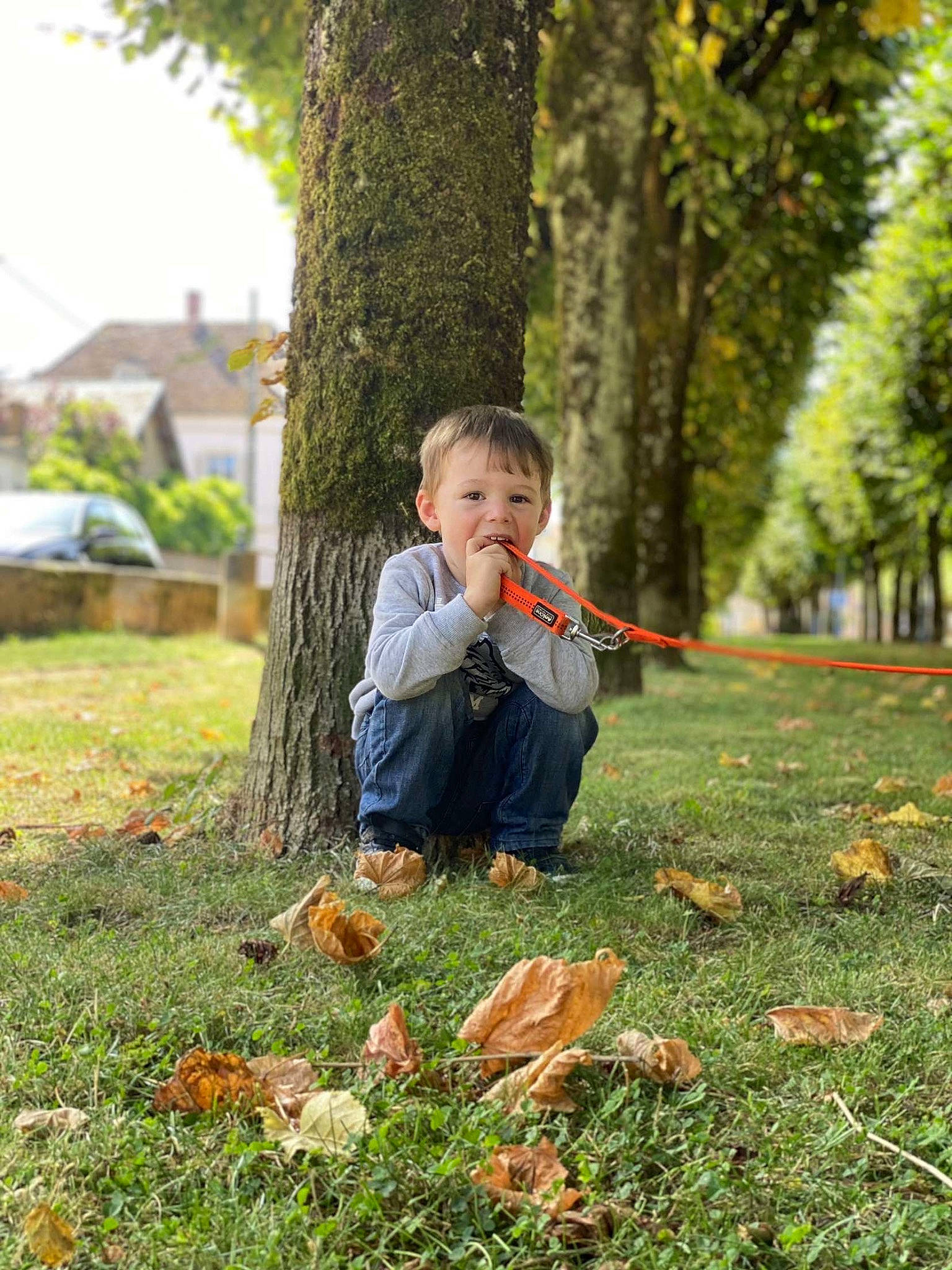 Tyméo participe au concours pour gagner de l'argent avec cette photo : branch, deciduous, footwear, forest, grass, happy, jacket, jeans, leaf, natural_landscape, people_in_nature, person, plant, recreation, soil, toddler, tree, trunk, wood, woodland