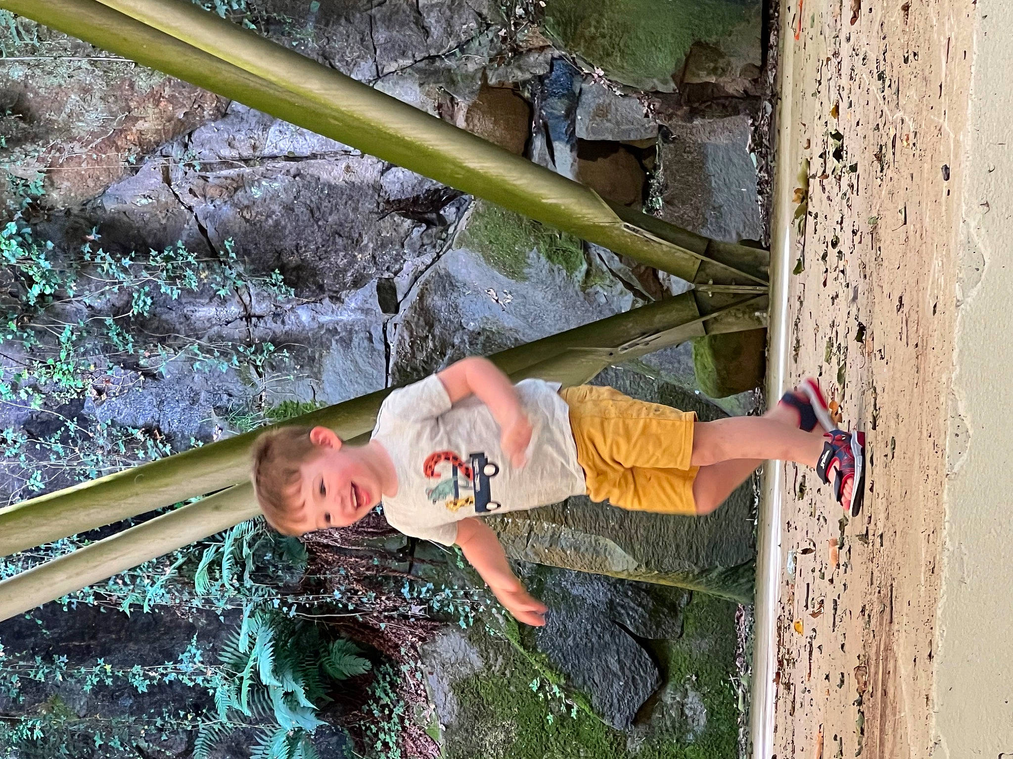 Tyméo a rejoint le concours — aidez-le/la à gagner de superbes lots ! adventure, child, fun, grass, happy, joy, leisure, people_in_nature, person, plant, recreation, shorts, t_shirt, toddler, tree, trunk, water, wood