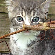 Delilah joined the competition — help win amazing prizes!