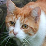 Doodles is registered to the contest to win money with this photo: