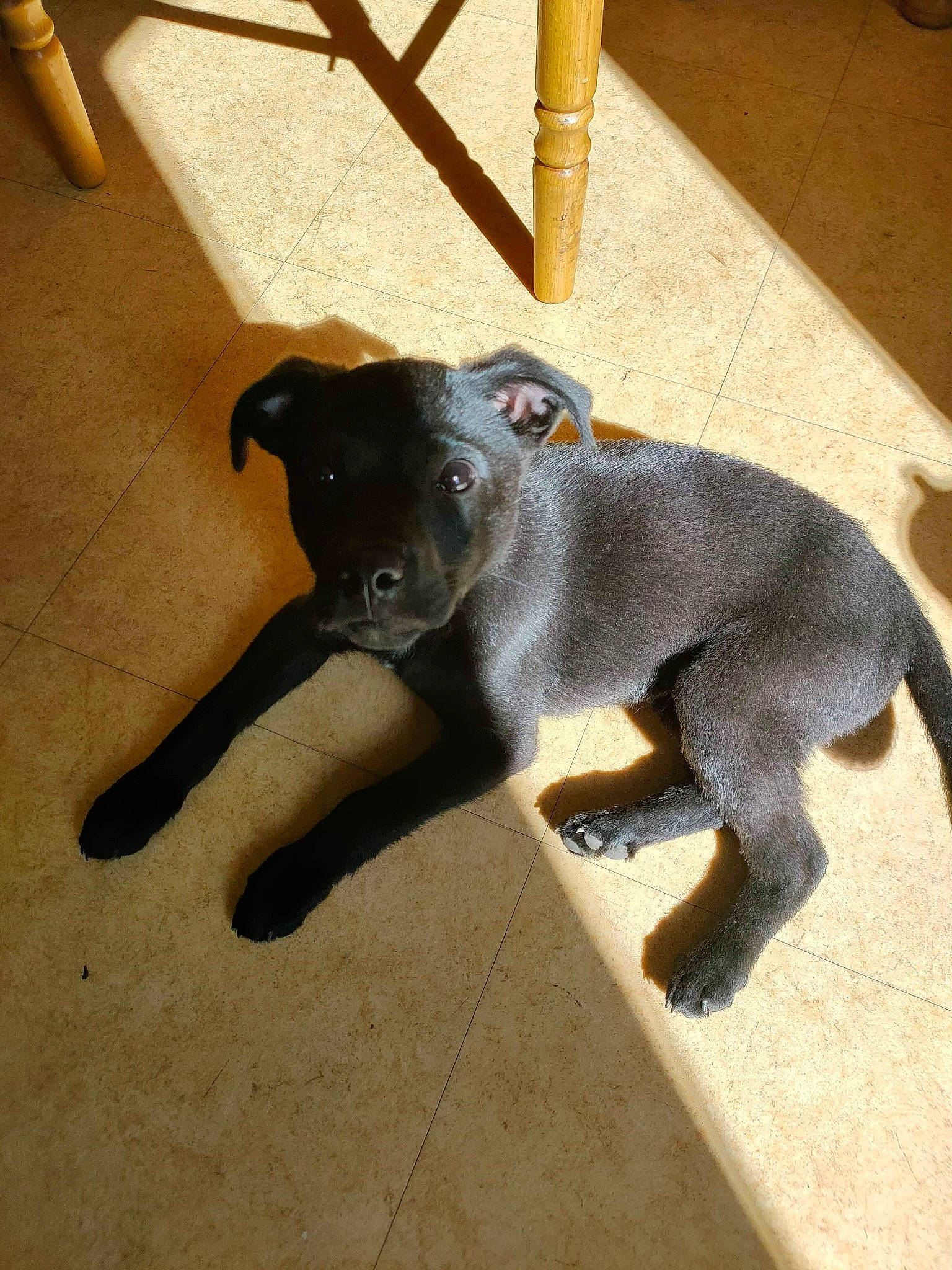 Shadow