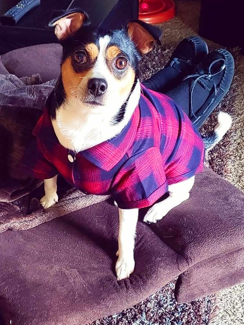 Pete