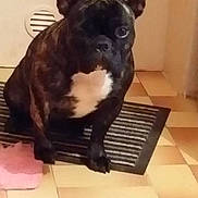 June participe au concours pour gagner de l'argent avec cette photo :