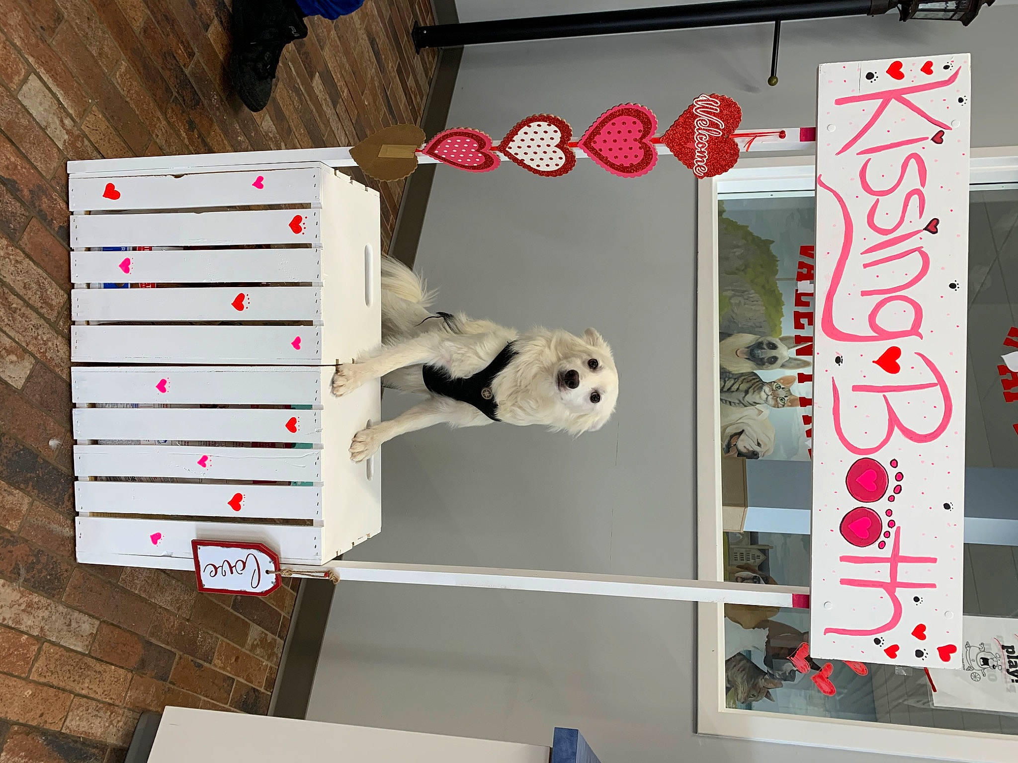 Achilles is registered to the contest to win money with this photo: font