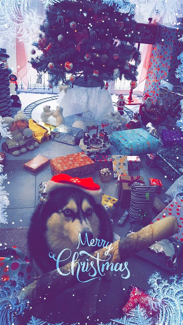 Joulia participe au concours pour gagner de l'argent avec cette photo : art, beard, christmas_decoration, christmas_ornament, christmas_tree, city, collage, event, font, fun, hat, organism, ornament, pattern, people, photomontage, red, sunglasses, tree, world