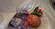 Catalina is registered to the contest to win money with this photo: baby, blanket, bouquet, closed_eyes, floral_outfit, green_leaves, hospital_bassinet, indoors, infant, newborn, peaceful, photography, portrait, purple_clothing, red_flowers, resting, sleeping, soft_lighting, tiny_hands, white_bedding