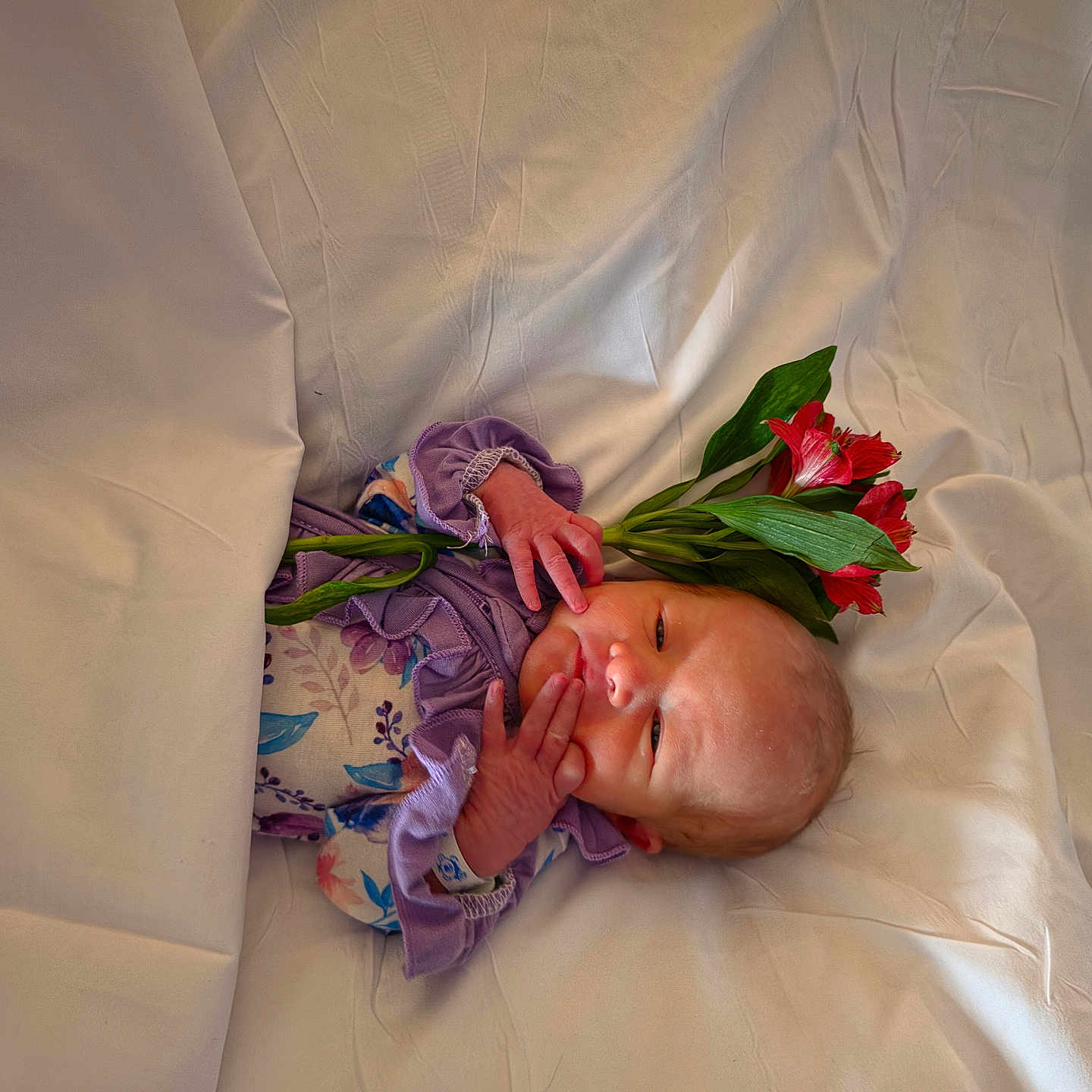 Catalina is registered to the contest to win money with this photo: newborn, baby, infant, child, portrait, lying_down, blanket, white_bedding, purple_clothing, floral_outfit, flowers, red_flowers, green_leaves, face, hands, eyes_open, indoor, soft_lighting, close_up, photography