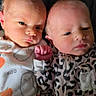 newborn, twins, baby, infant, portrait, faces, eyes, cheek_to_cheek, lying_down, blanket, onesie, clothing, leopard_print, fleece, cozy, indoor, close_up, siblings, photograph, watermark
