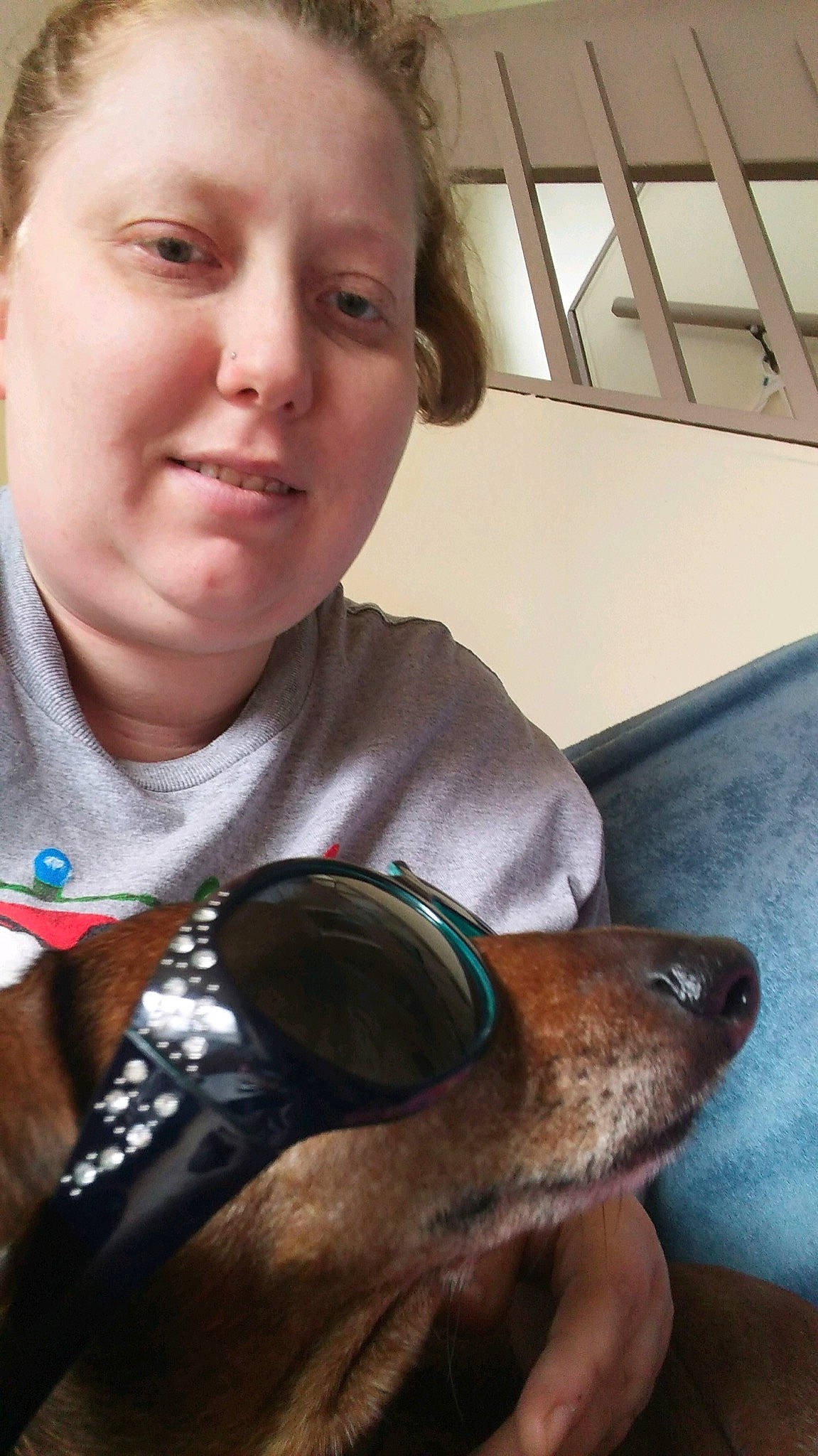 Coco joined the competition — help win amazing prizes! canidae, carnivore, dog, dog_breed, mouth, muscle, nose, selfie, smile, snout, sporting_group