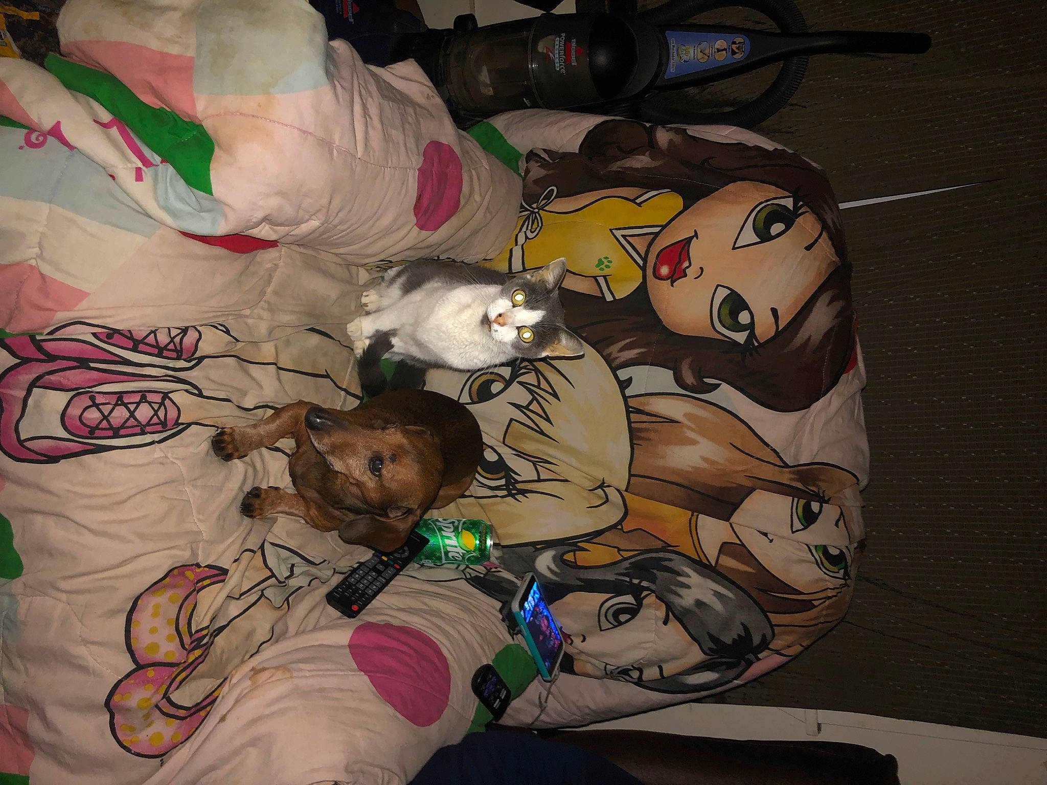 Coco is registered to the contest to win money with this photo: art, birth, illustration, tattoo