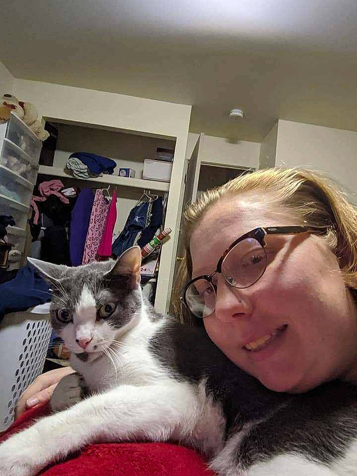 Jasper is registered to the contest to win money with this photo: carnivore, cat, domestic_short_haired_cat, ear, felidae, fur, glasses, lap, small_to_medium_sized_cats, whiskers