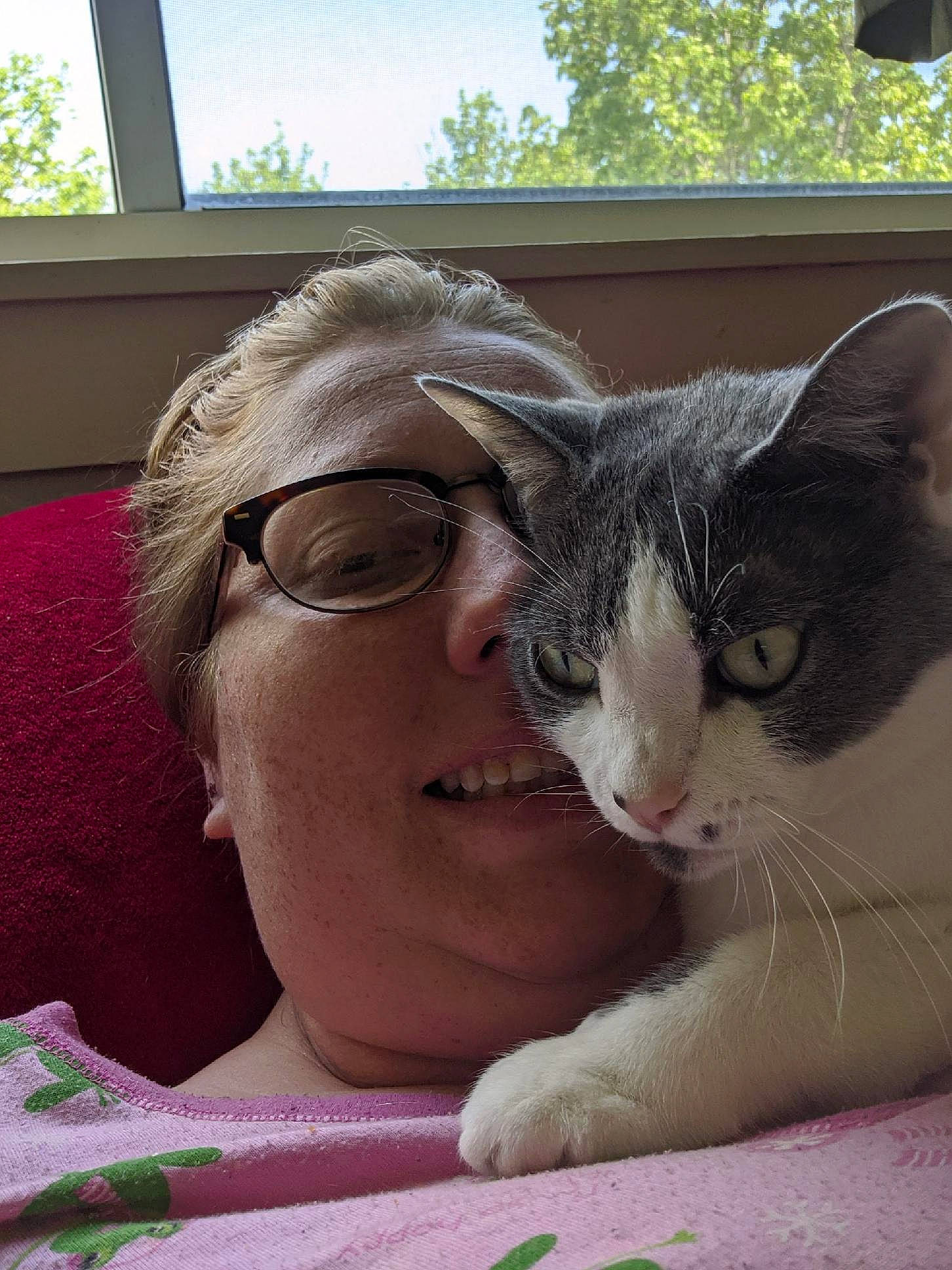 Jasper is registered to the contest to win money with this photo: carnivore, cat, domestic_short_haired_cat, fawn, felidae, glasses, nose, small_to_medium_sized_cats, whiskers