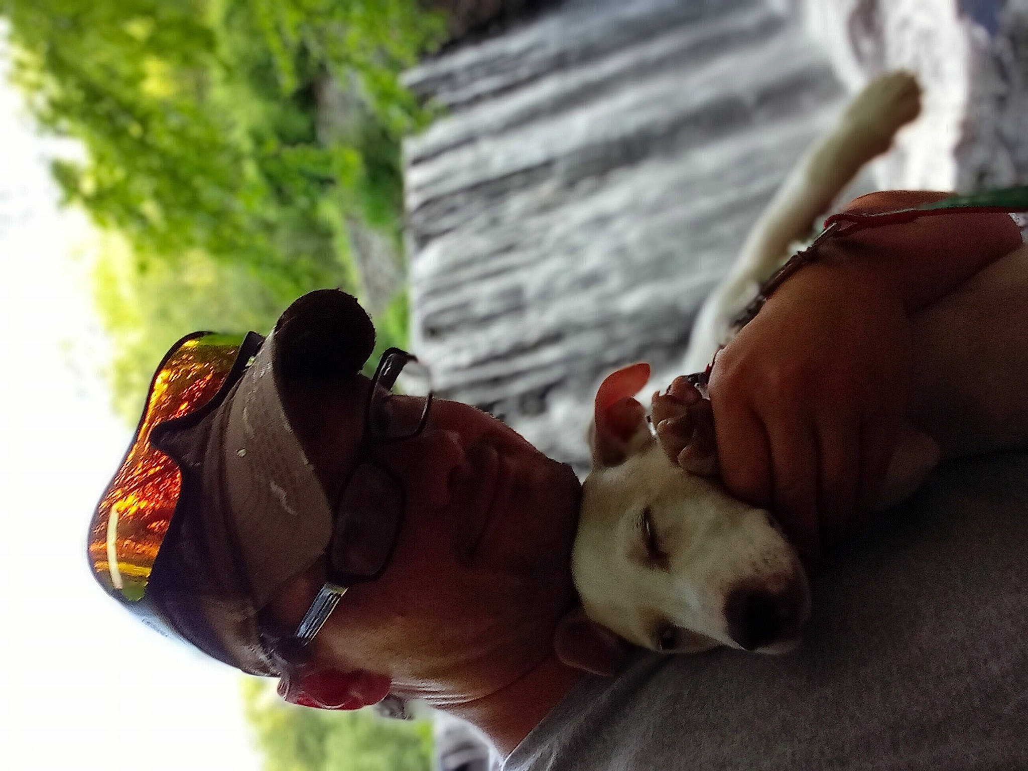 Finnegan is registered to the contest to win money with this photo: adventure, canidae, carnivore, collar, companion_dog, dog, dog_breed, dog_collar, fawn, finger, football, gesture, guard_dog, happy, leisure, nail, people_in_nature, recreation, toy, wood