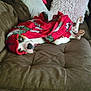 dog, blanket, couch, pillow, red, brown, white, green, cozy, relaxed, pet, indoor, fur, snuggled, paw, soft, comfort, animal, resting, home