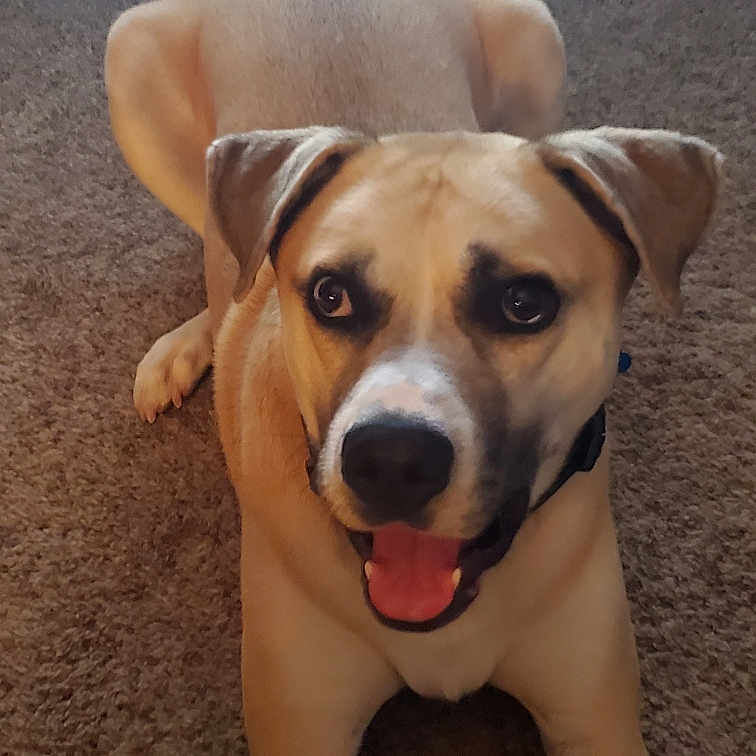 Jaxson