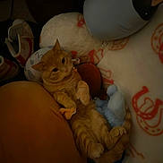 Digit joined the competition — help win amazing prizes! animal, casual, cat, comfort, cozy, cushions, cute, feline, home, indoor, lying_down, orange_tabby, pet, plush_toys, relaxed, resting, sleepy, soft_toys, stuffed_animals, warm_lighting