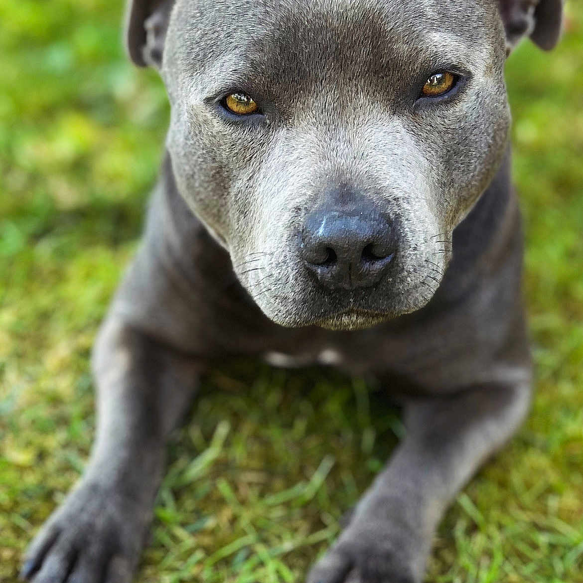 Sienna