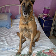 Calli a rejoint le concours — aidez-le/la à gagner de superbes lots !