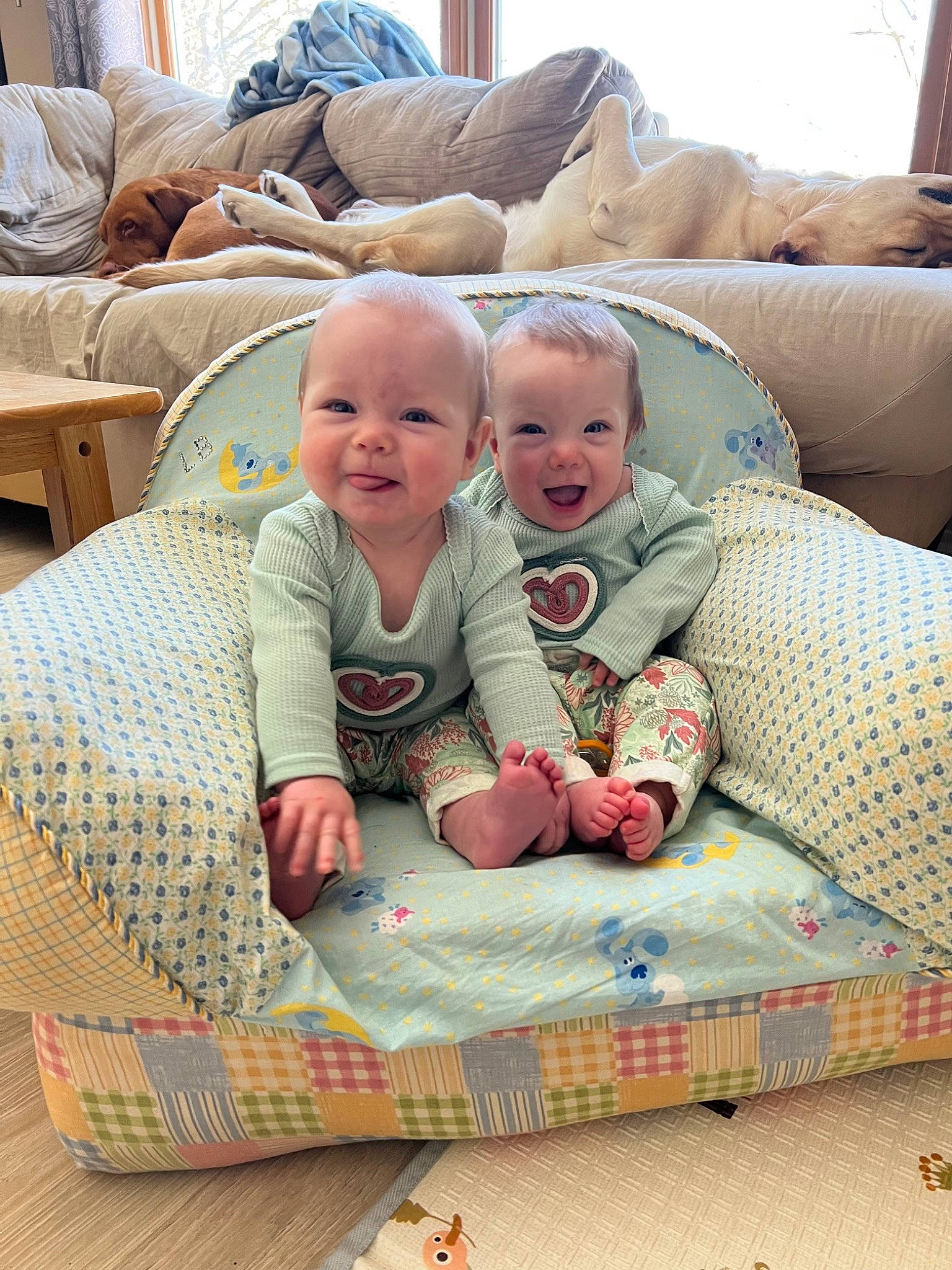 Maven Maeson is registered to the contest to win money with this photo: baby, baby_laughing, baby_toddler_clothing, cheek, child, comfort, couch, flooring, happy, lap, linens, living_room, pattern, person, pillow, room, sitting, sleeve, smile, throw_pillow