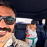 man, beard, sunglasses, smile, dog, car_interior, seat, harness, bandana, window, sunlight, pet, animal, leisure, travel, portrait, vehicle, casual, happy, companion