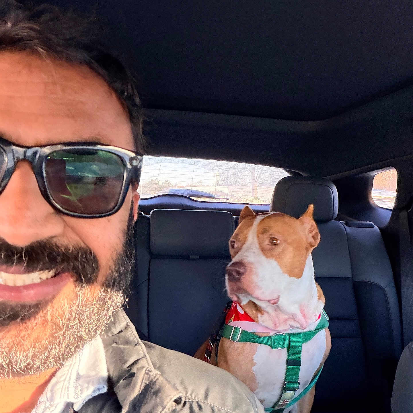 Deep Dish joined the competition — help win amazing prizes! man, beard, sunglasses, smile, dog, car_interior, seat, harness, bandana, window, sunlight, pet, animal, leisure, travel, portrait, vehicle, casual, happy, companion