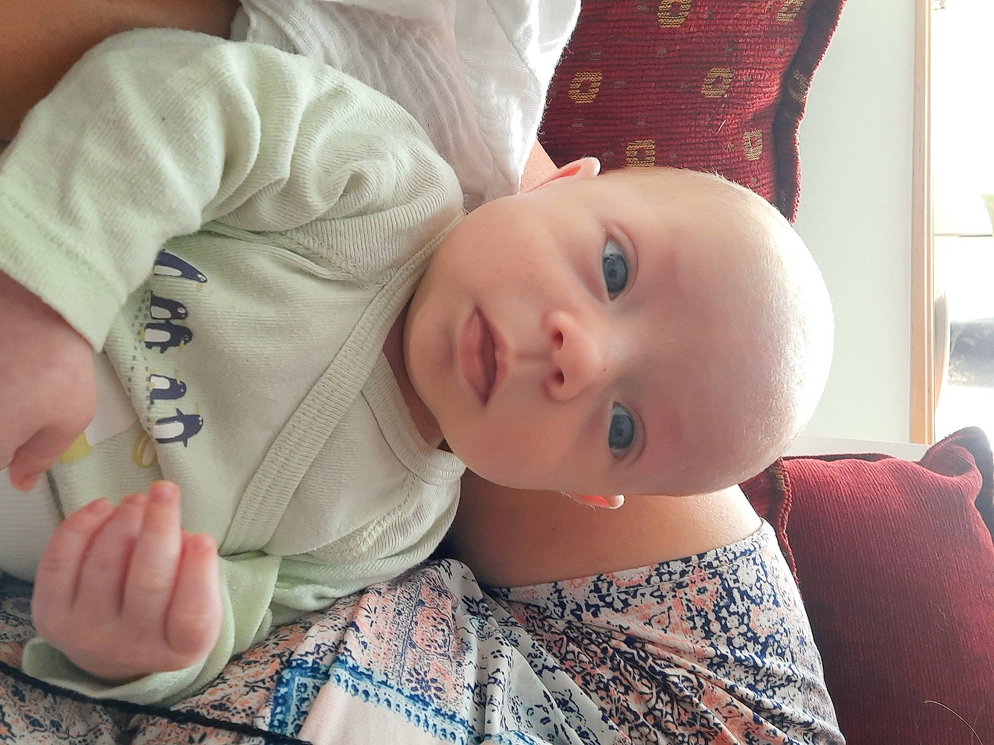 Lawen a rejoint le concours — aidez-le/la à gagner de superbes lots ! arm, baby, beauty, cheek, child, chin, cool, ear, eye, face, finger, forehead, hand, head, lip, mouth, nose, person, selfie, skin