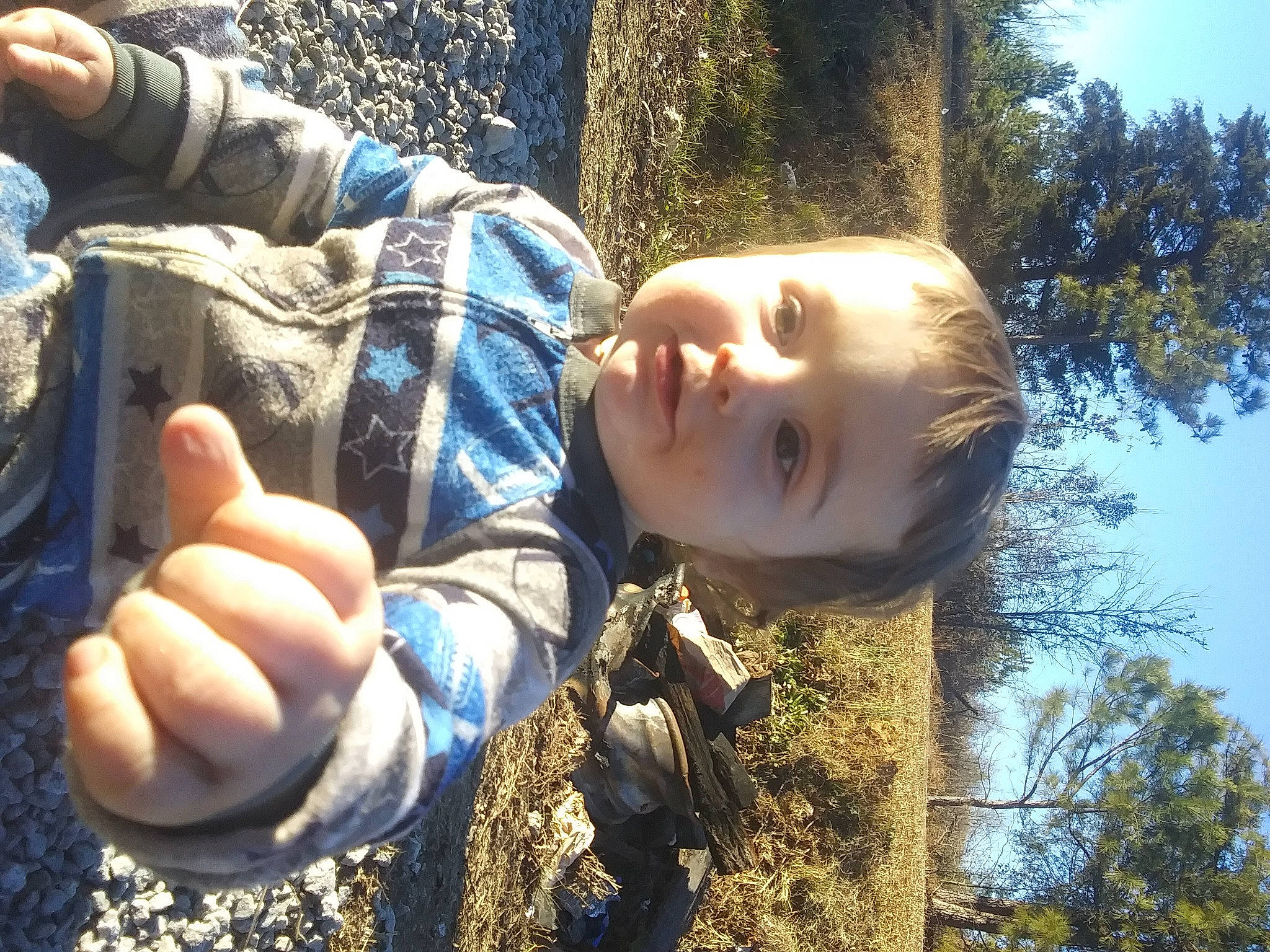 Waylon is registered to the contest to win money with this photo: branch, flash_photography, forest, fun, gesture, grass, hand, happy, human_body, leaf, people_in_nature, person, plant, sky, smile, sunlight, thumb, toddler, tree, trunk