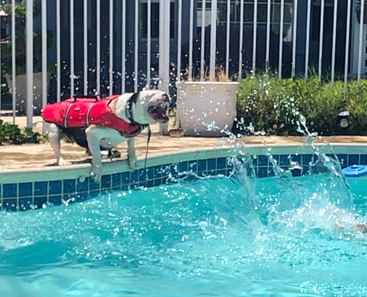 Libby joined the competition — help win amazing prizes! fun, leisure, leisure_centre, recreation, swimming, swimming_pool, water, water_feature