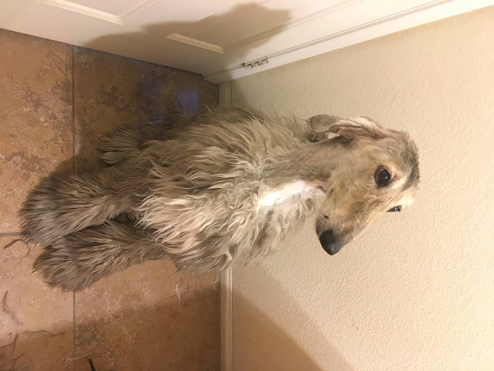 Sookie is registered to the contest to win money with this photo: