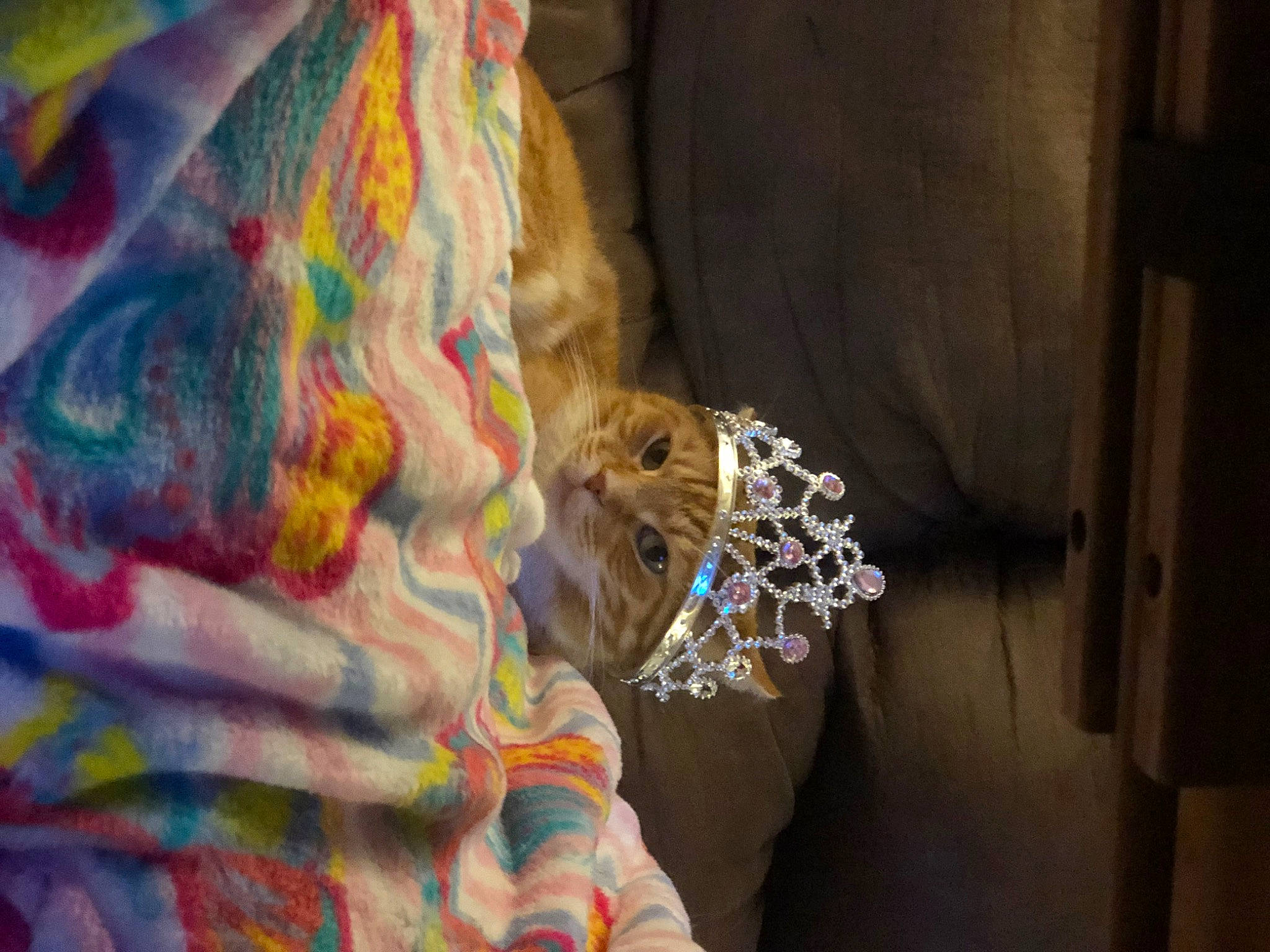 Mirri is registered to the contest to win money with this photo: art, event, fashion_design, flesh, fun, fur, pattern, room, temple, thread, toy, tradition, visual_arts, wood, wool