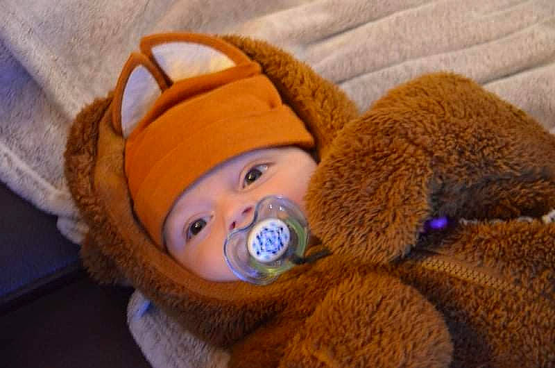 Mirko a rejoint le concours — aidez-le/la à gagner de superbes lots ! baby, cap, comfort, doll, ear, eye, eyelash, fawn, fur_clothing, happy, headwear, knit_cap, linens, mammal, nose, person, stuffed_toy, textile, toy, vertebrate