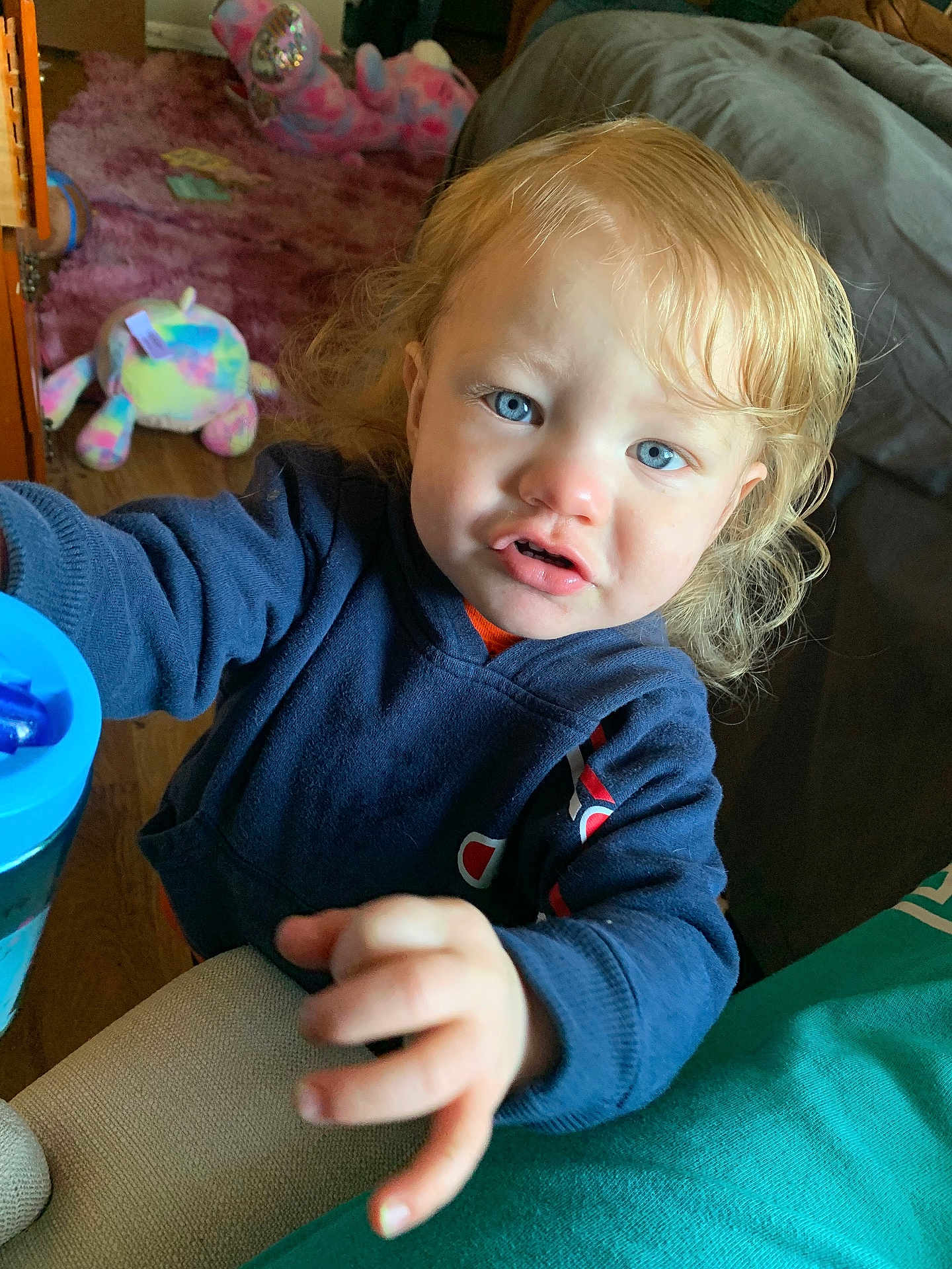 Apollo joined the competition — help win amazing prizes! toddler, child, blue_eyes, blonde_hair, hoodie, indoor, toy, plush_toy, carpet, couch, person, hand, face, curious, young_child, home, furniture, floor, clothing, portrait