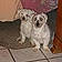 Oupette Et Junior