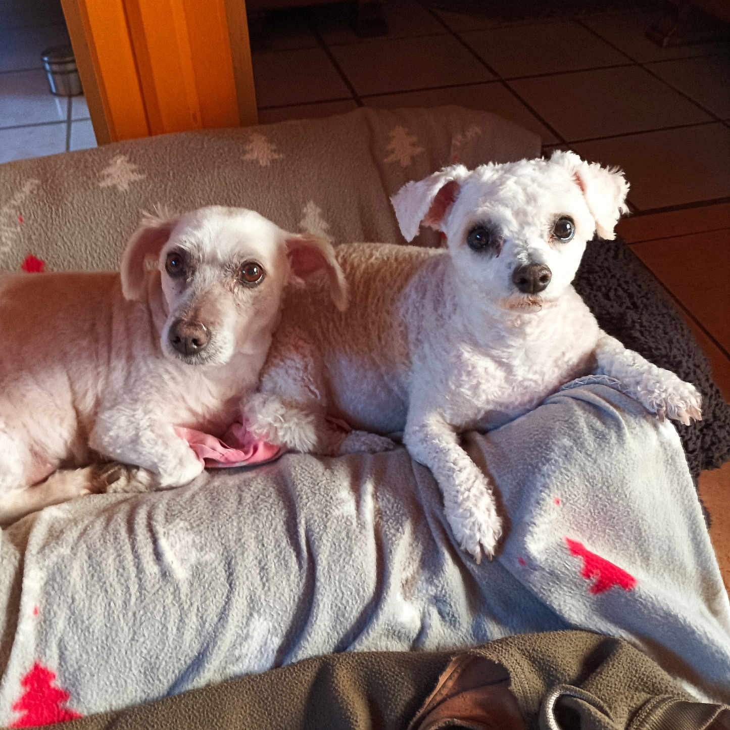 Junior Et Vickye