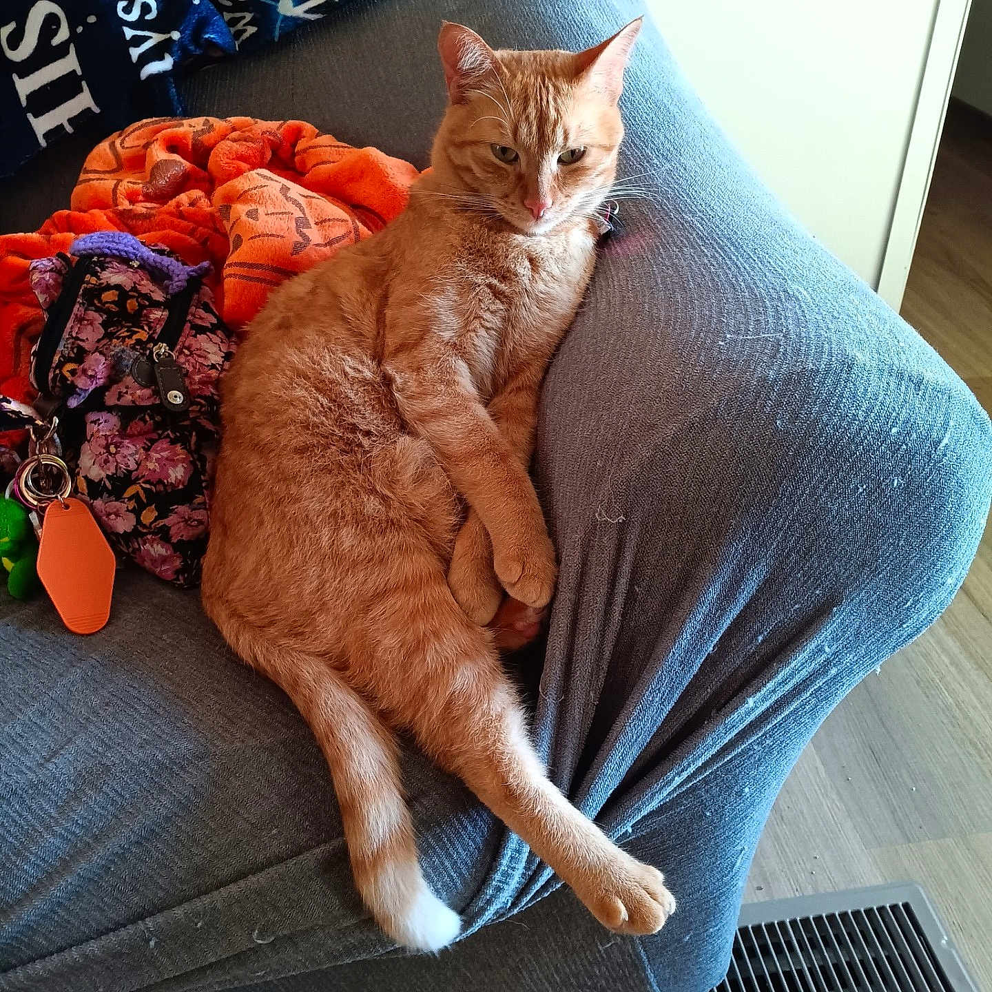 Snuggles