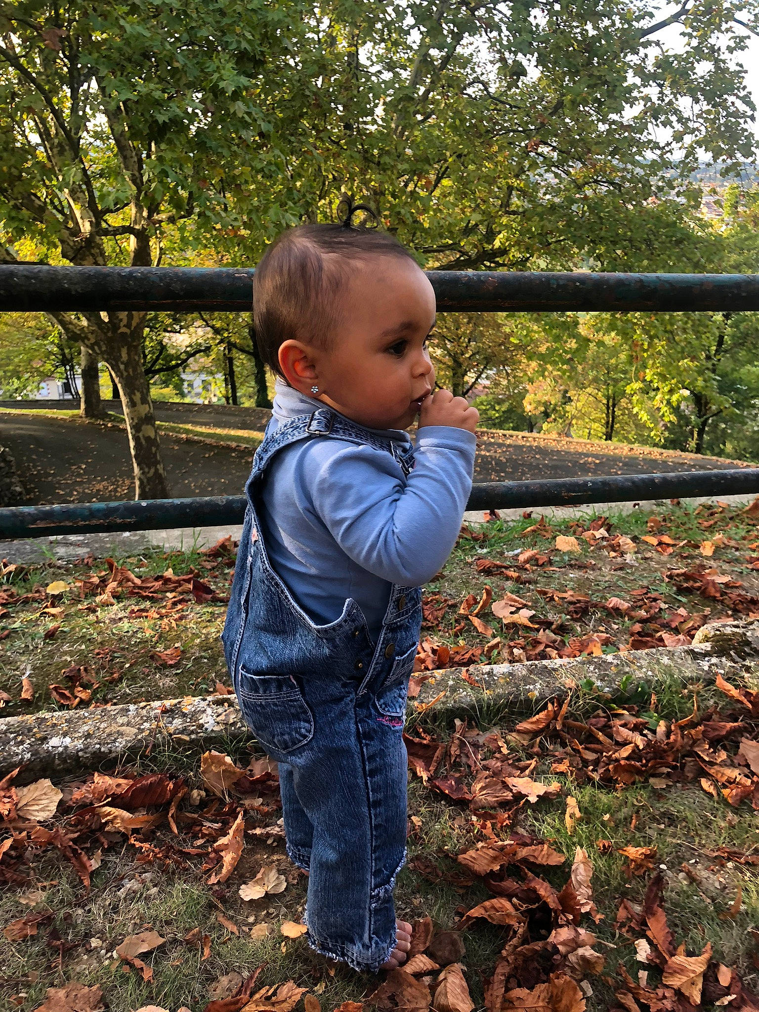 Aliyah participe au concours pour gagner de l'argent avec cette photo : baby, baby_toddler_clothing, deciduous, fence, forest, grass, happy, head, natural_landscape, people_in_nature, person, plant, soil, sunlight, tints_and_shades, toddler, tree, twig, wood, woodland