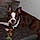 Roxy