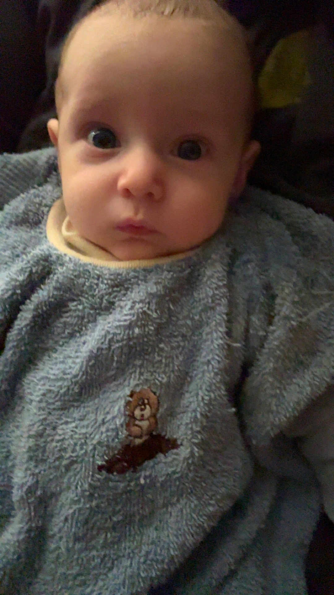 Wyatt