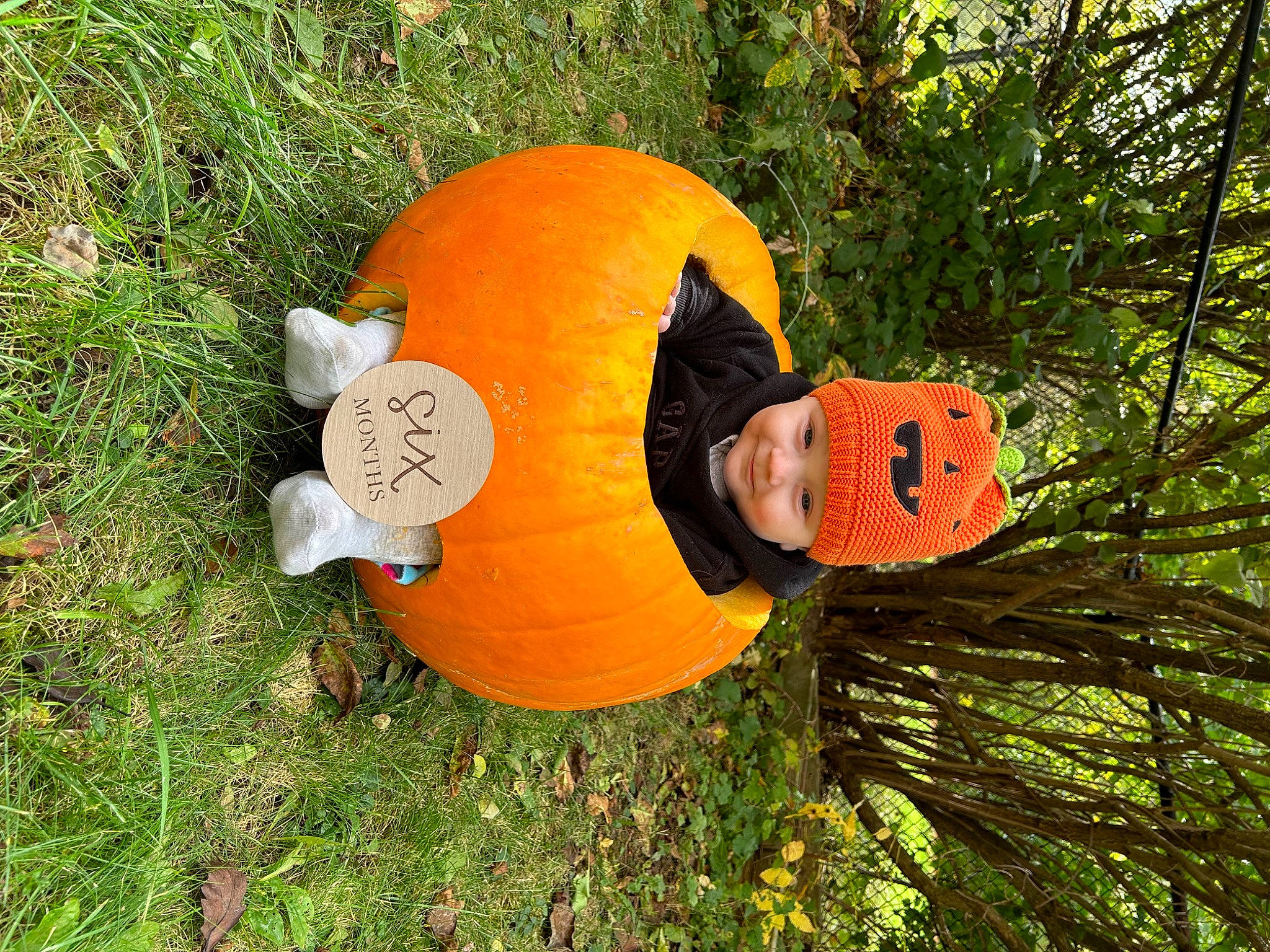 Elliott is registered to the contest to win money with this photo: _and_melon_family, _gourd, art, calabaza, carving, cucumber, cucurbita, fun, gourd, grass, hat, headwear, jack_o_lantern, lawn_ornament, leisure, people_in_nature, person, plant, pumpkin, squash