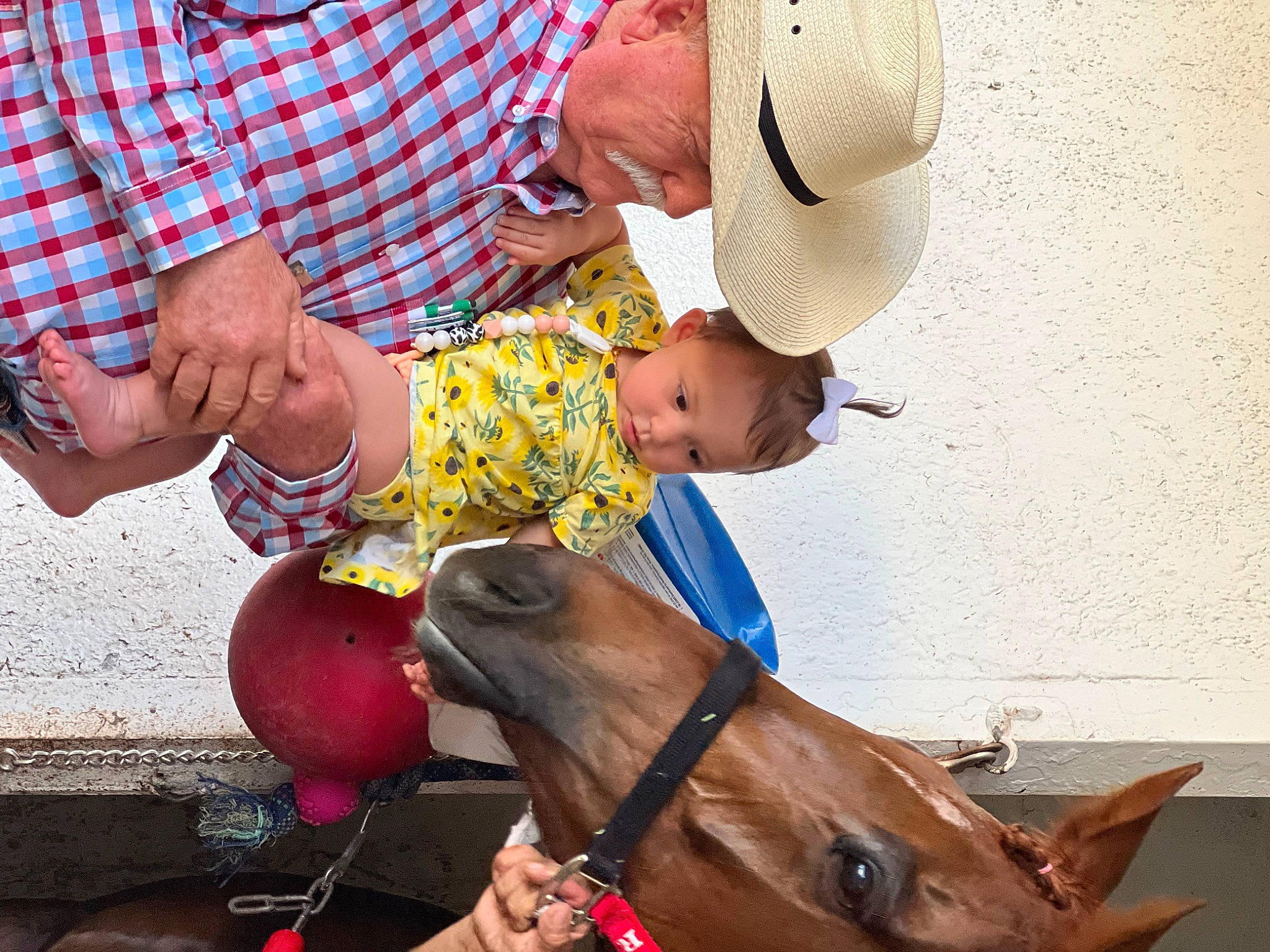 Delta joined the competition — help win amazing prizes! baby, cap, child, collar, cowboy_hat, fashion_accessory, fedora, fun, happy, hat, headwear, human_leg, leash, liver, organ, people, person, photograph, snapshot, sun_hat