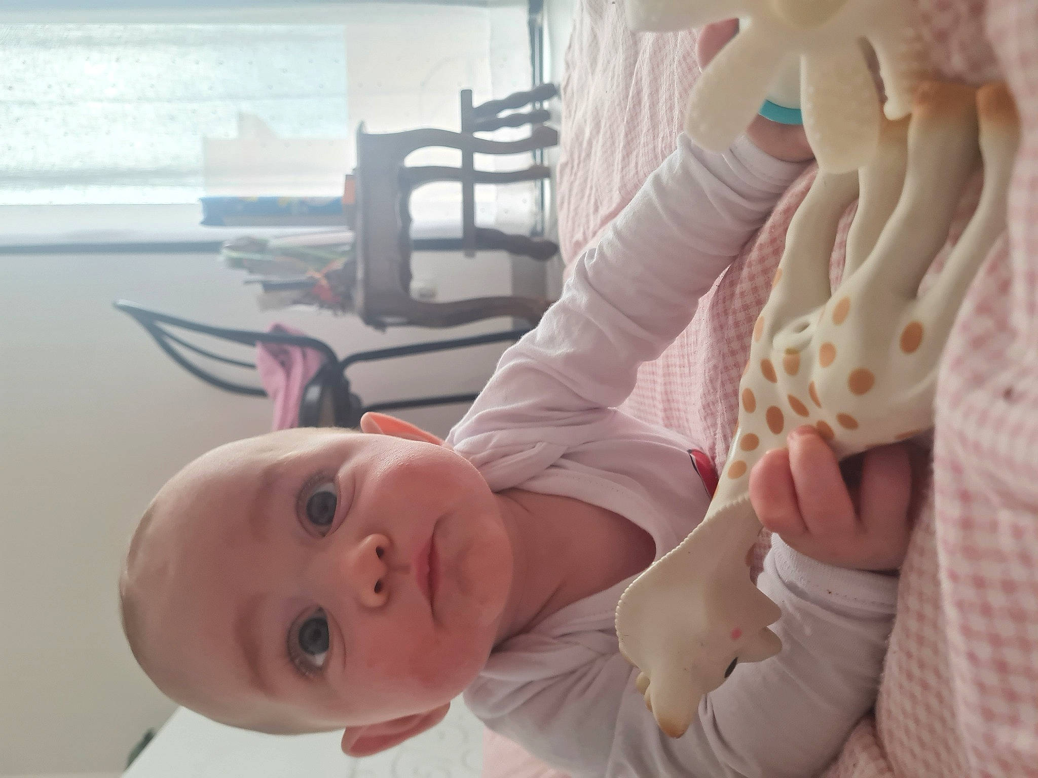 Nohan participe au concours pour gagner de l'argent avec cette photo : baby, chair, cheek, comfort, ear, eyelash, finger, gesture, iris, joint, lip, mouth, nail, neck, nose, person, pink, skin, smile, thumb