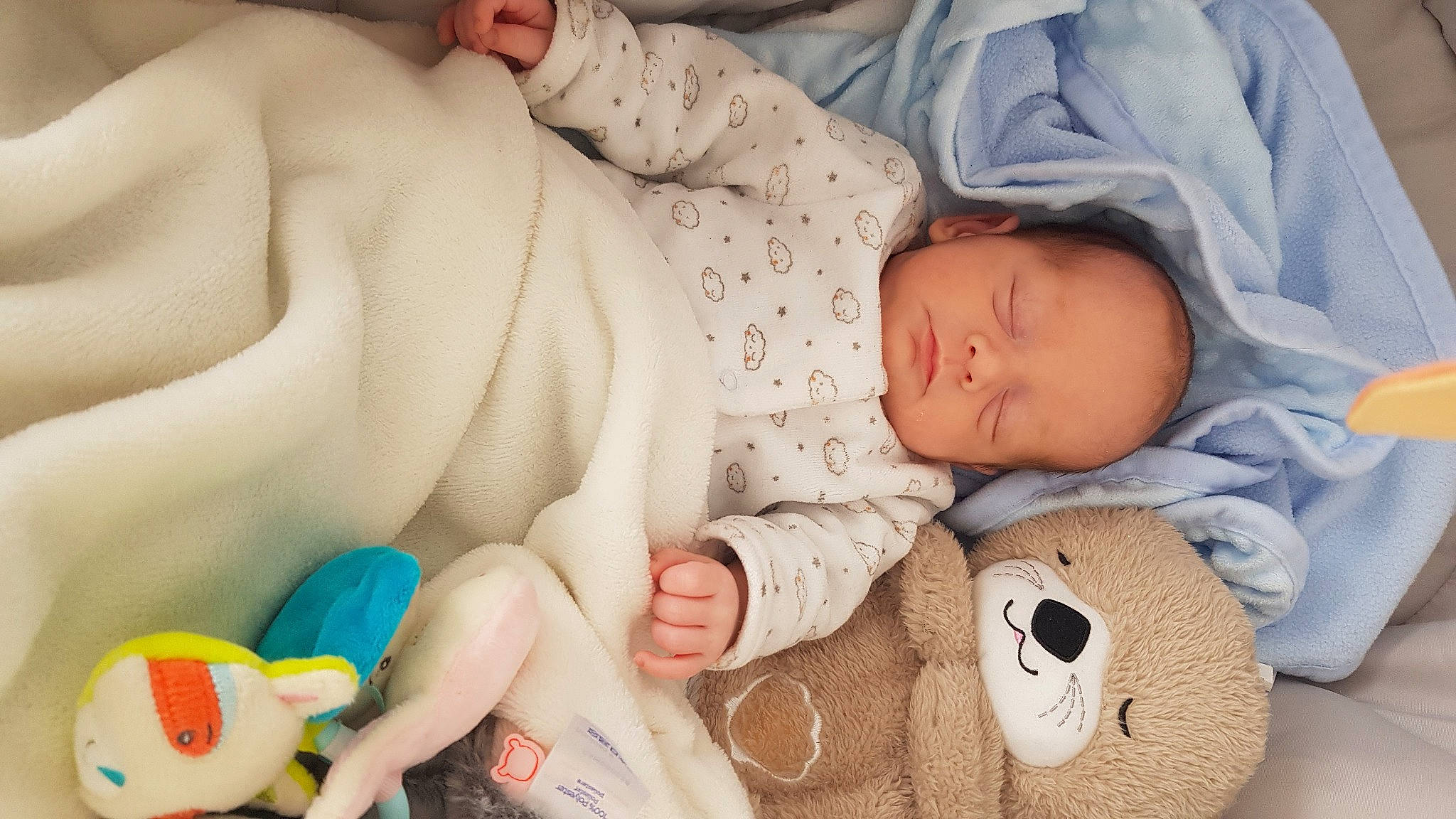 Nohan participe au concours pour gagner de l'argent avec cette photo : arm, baby, baby_products, baby_sleeping, baby_toddler_clothing, bedtime, cheek, child, comfort, eye, finger, linens, mammal, mouth, person, skin, textile, toddler, toy, vertebrate