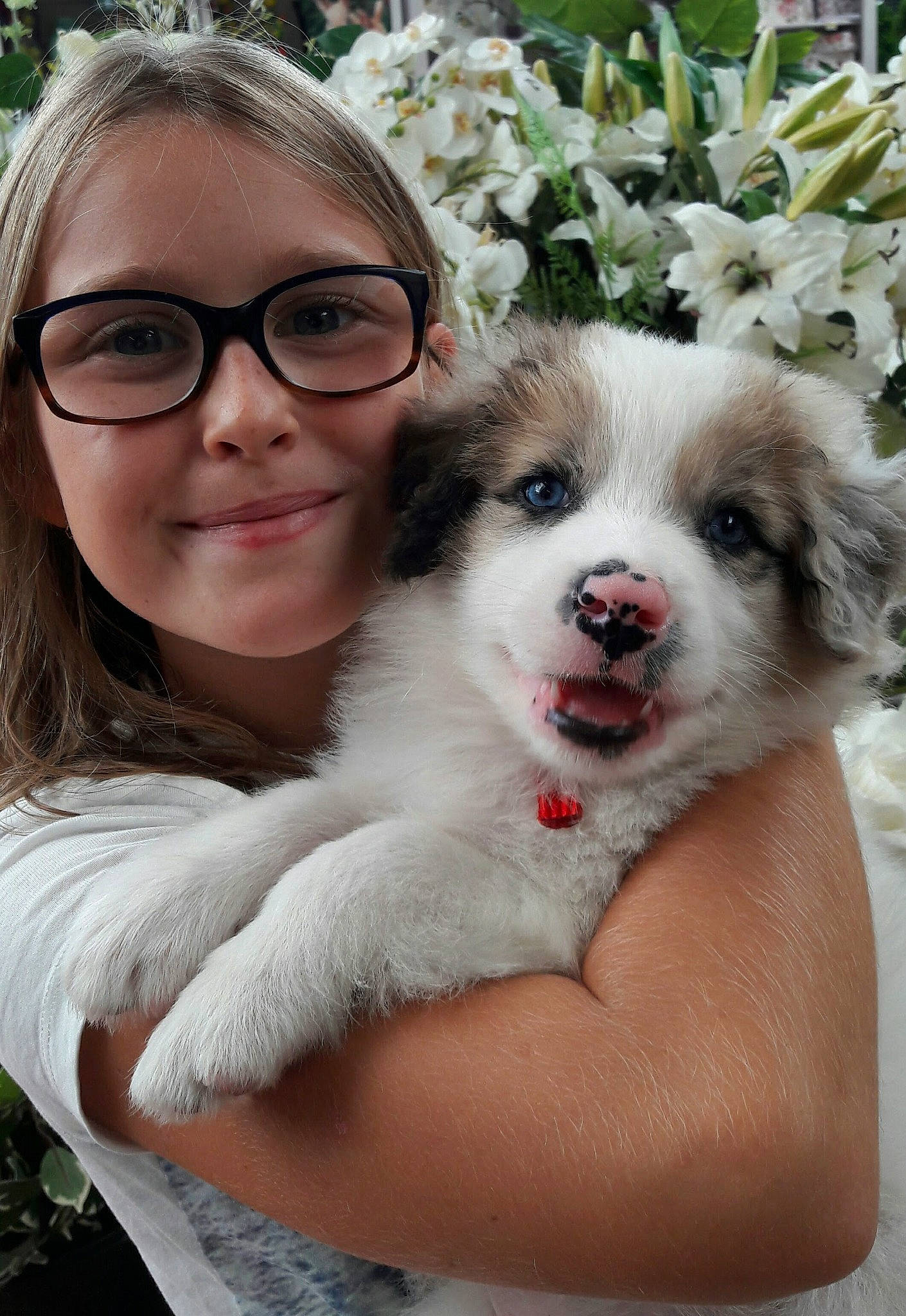 Saxo participe au concours pour gagner de l'argent avec cette photo : canidae, carnivore, companion_dog, dog, dog_breed, eyewear, fawn, flower, fur, glasses, grass, happy, plant, puppy_love, skin, smile, sporting_group, tree, whiskers, white