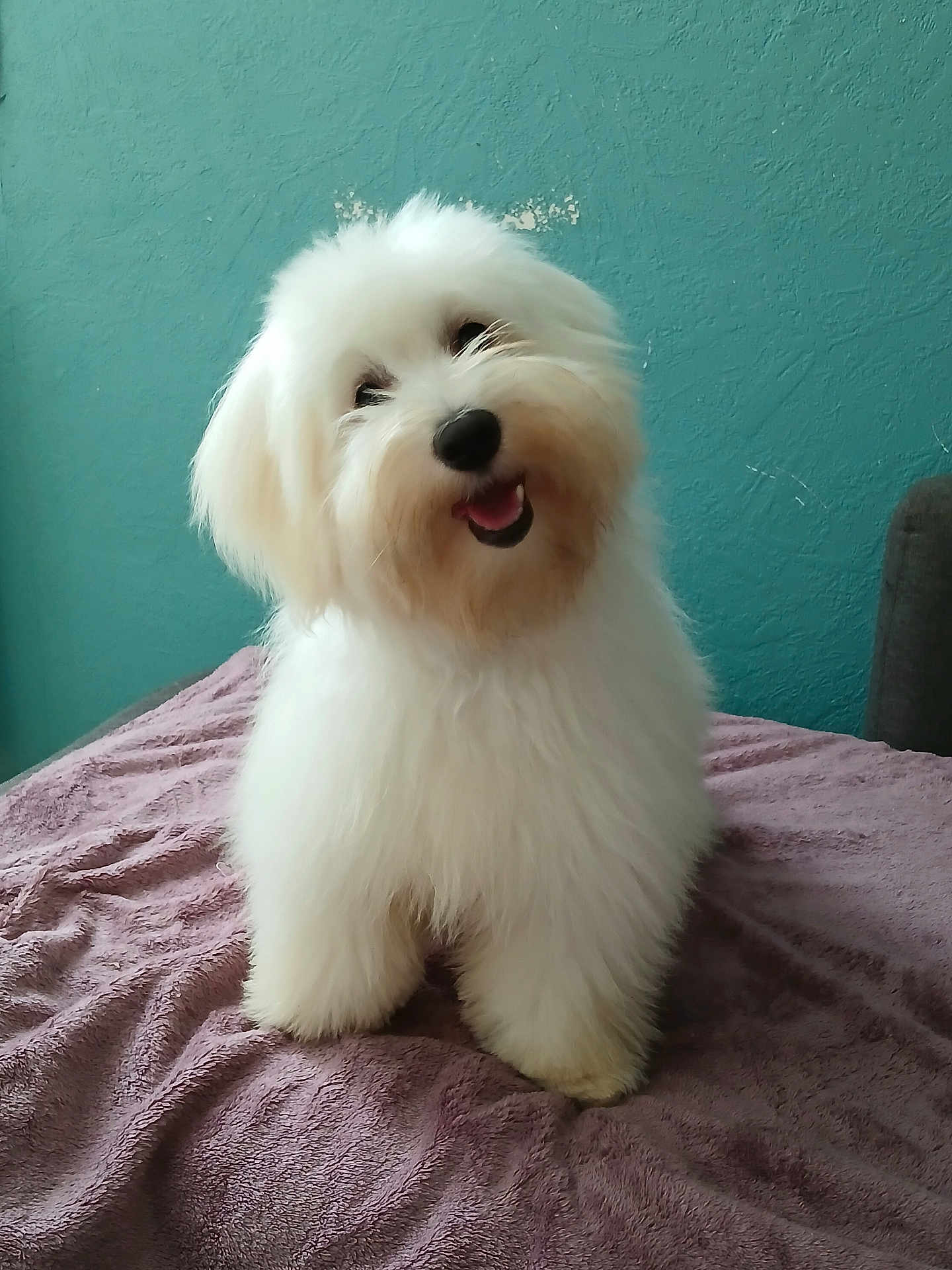 Upsie