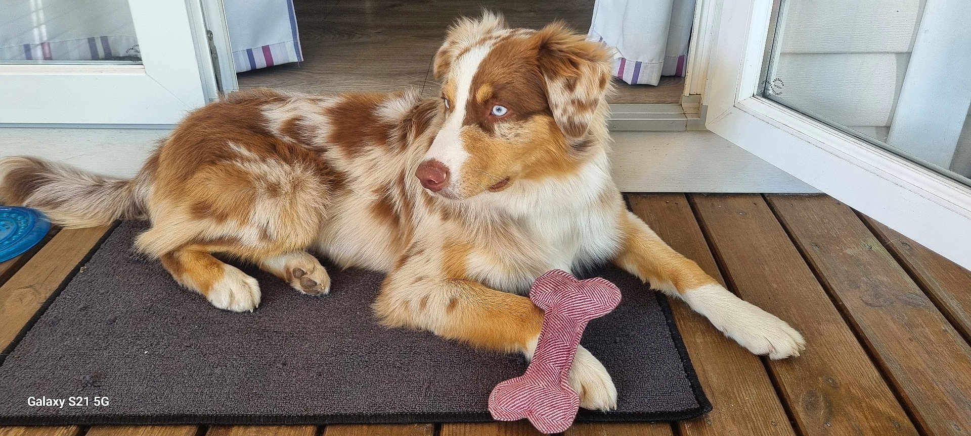 Vogue