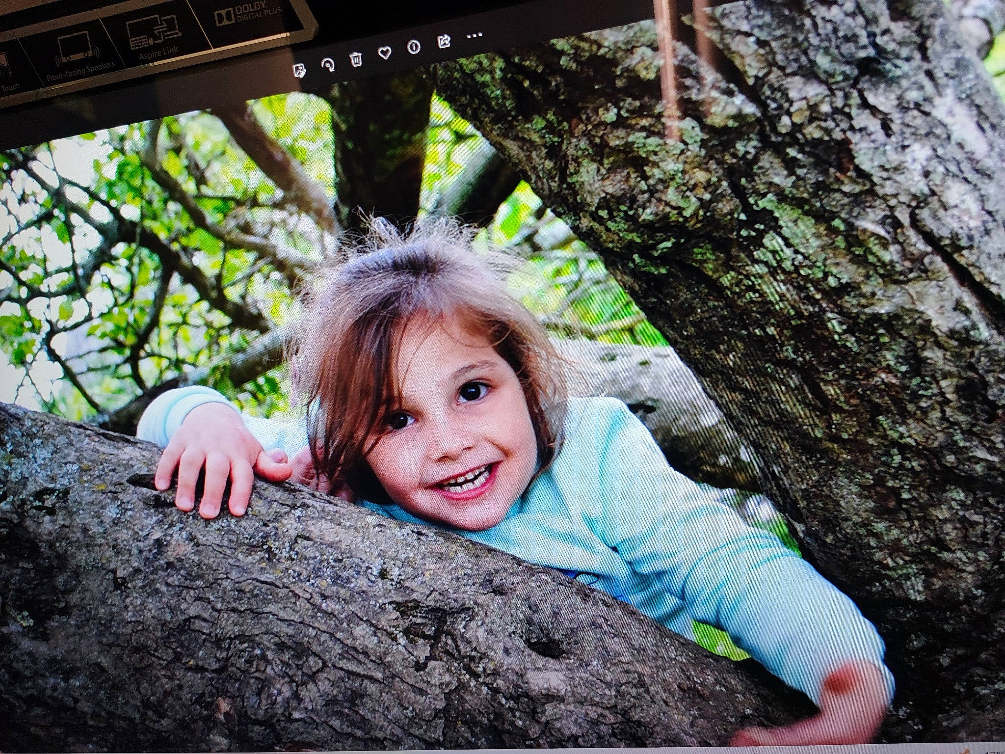 Sydney a rejoint le concours — aidez-le/la à gagner de superbes lots ! beauty, botany, branch, facial_expression, flash_photography, fun, grass, happy, joy, leaf, leisure, nature, people_in_nature, person, photograph, plant, smile, toddler, trunk, twig